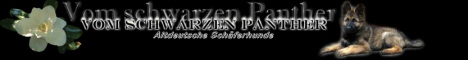 banner_vomschwarzenpanther
